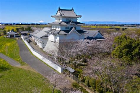 野田市観光協会