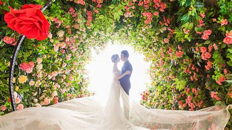 Wedding Ceremony Nature Wedding HD Wallpaper Pxfuel