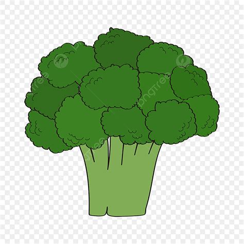 broccoli vegetables vector design images broccoli clipart healthy