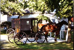 Arthur Amish Country - Illinois Amish Country and Arthur Illinois