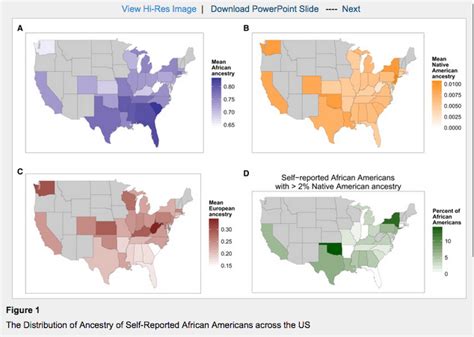 Harvard Scientists Studied The Dna Of White People And Found Something