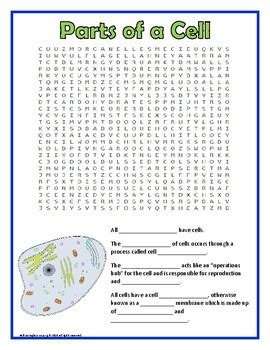 Parts Of A Cell Word Search