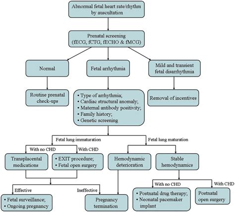 The Algorithm Of Surveillance And Management Of Fetal Arrhythmias Chd