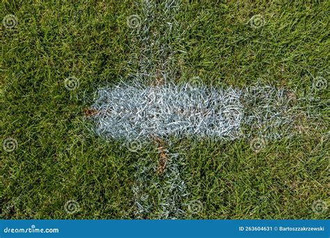 Grass on the soccer field stock image. Image of soccer - 263604631