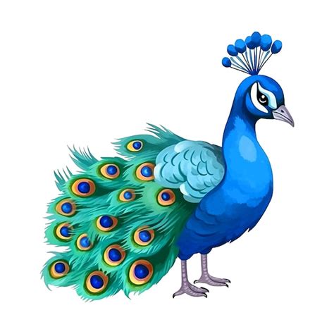 Premium Vector Cute Peacock Watercolor Paint Ilustration