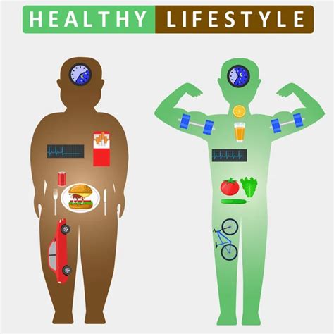 Healthy lifestyle infographics Stock Vector Image by ©Lilkin #110417358