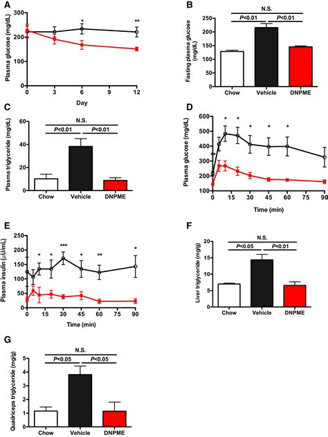 Reversal Of Hypertriglyceridemia Fatty Liver Disease And Insulin