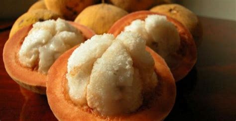 Manfaat Buah Kecapi Buah Menyegarkan Yang Terlupakan