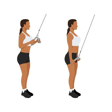 Woman Doing Cable Rope Tricep Pull Down Or Push Exercise Flat Vector