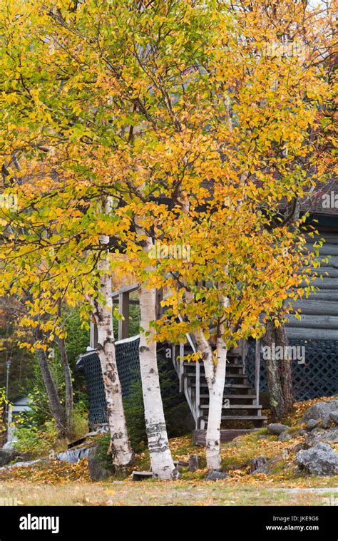 USA, New Hampshire, White Mountains, Crawford Notch, fall foliage by ...