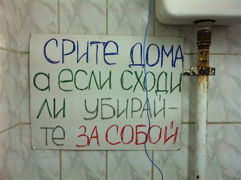 Картинки В Туалет Прикольные из архива, смотрите бесплатно лучшее фото