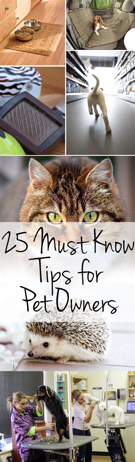 Must Know Tips For Pet Owners Wrapped In Rust