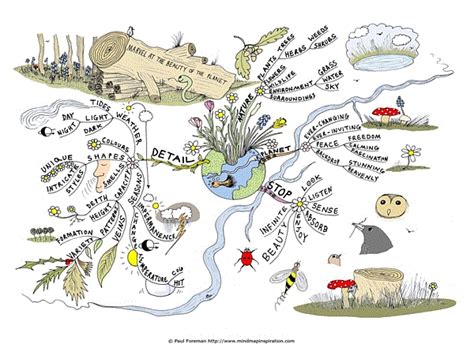 Connecting With Nature Connected Mindmap Mind Map Mind Map Art Images