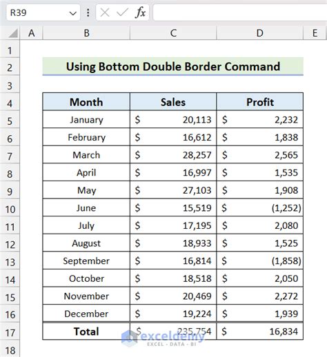 How to Apply a Bottom Double Border in Excel - 2 Methods - ExcelDemy