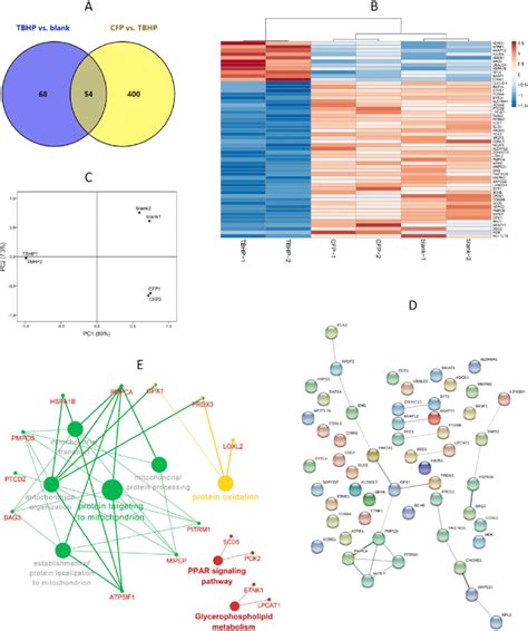 Proteomics analysis results of the 54 selected differentially expressed ... 