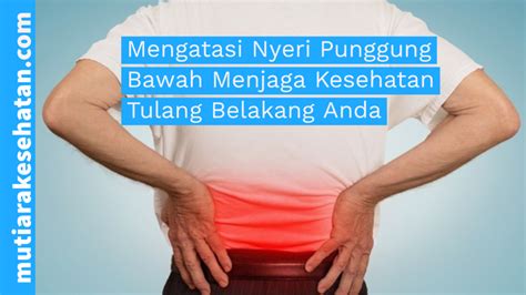 Mengatasi Nyeri Punggung Bawah Menjaga Kesehatan Tulang Belakang Anda