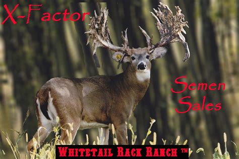 Charles Deer Man Black X Factor Semen