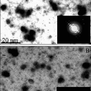 Scanning Electron Micrographs Of Unstained Shewanella Oneidensis MR 1