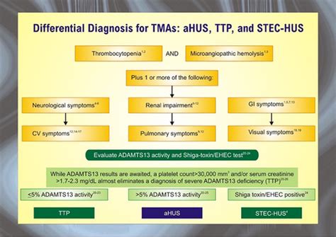 Full Article Atypical Hemolytic Uremic Syndrome Genetic Basis