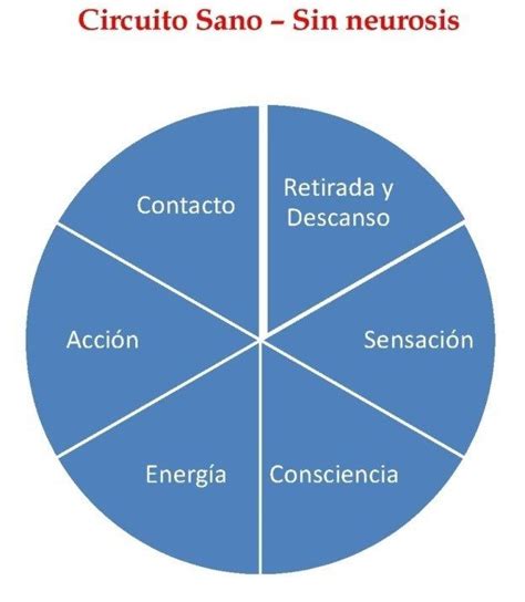 Ciclo De La Experiencia De La Gestalt O Gest Ltico