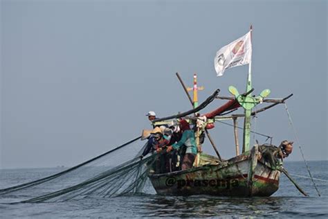 Alat Tangkap Payang Dan Rampus