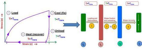 Schematic Representation Of Cyclic Thermomechanical Test And Sample