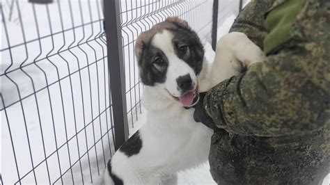 Полезный выходной - YouTube