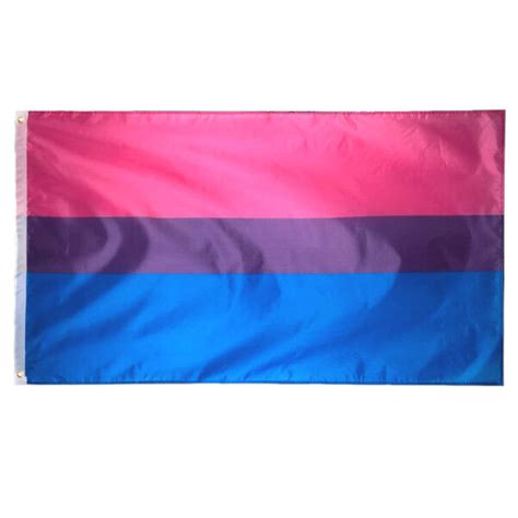 Bisexual Pride Flagge Mit Sen X Cm G Nstig Im Gay Lifestyle Shop