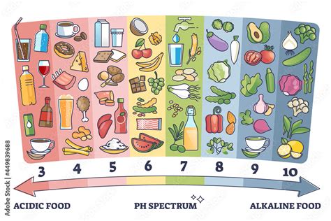 Ph Scale Foods