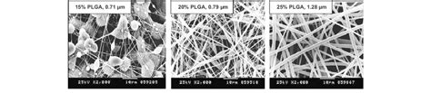 Se Micrographs Showing The Effect Of Plga Content On Fiber Morphology