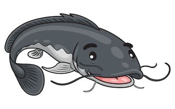 296 Catfish Clipart Images Stock Photos Vectors Shutterstock