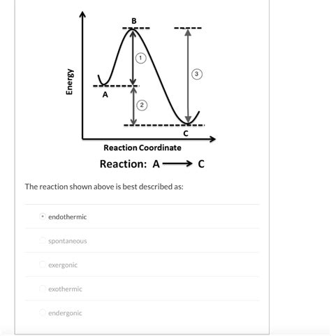 Solved Energy Reaction Coordinate Reaction A C The Reaction Shown Above Is Best Described As