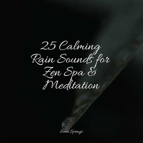 Calming Rain Sounds For Zen Spa Meditation Album By Healing