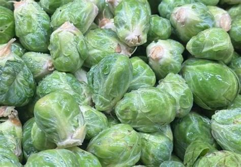 How To Grow Delicious Brussels Sprouts In Your Garden