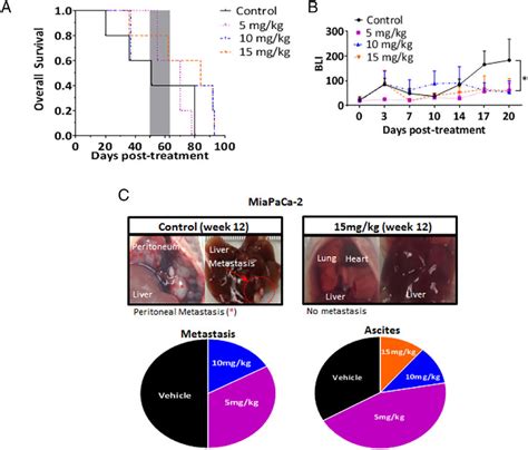 Auranofin Delays Progression And Prolongs Survival Of Nude Mice With