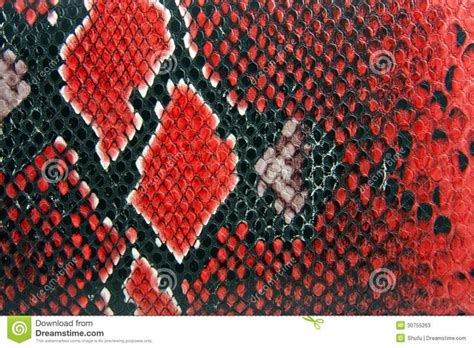 Snake Skin Background Stock Photos Image 30755263 Snake Patterns