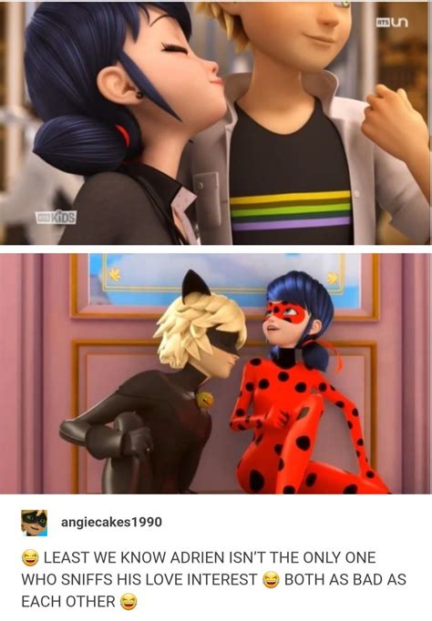 Pin By Bianca Avaro On Miraculous Ladybug Miraculous Ladybug Memes Miraculous Ladybug Oc