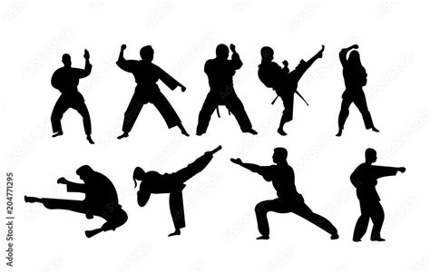 Silhouettes Of People Doing Karate Stances And Punches Stock Vector