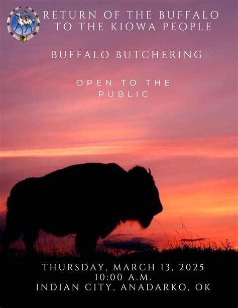 Return of the Buffalo to the Kiowa People | Kiowa Tribe