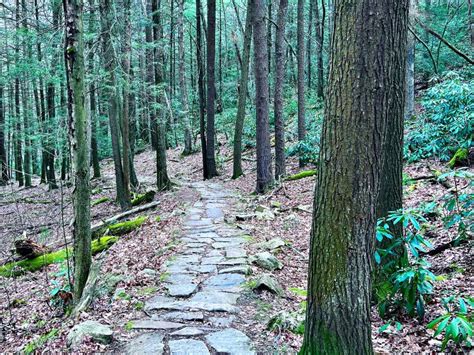 Tussey Mountain in Pennsylvania Stock Photo - Image of trail, wildlife ...