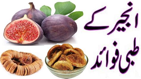 Benefits Of Anjeer In Urduhealth Benefits Of Figs Anjeer Youtube