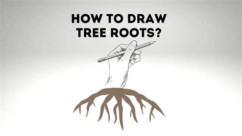 How To Draw Tree Roots For Beginners And Kids Everything Arboriculture