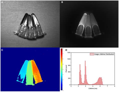 Frontiers Real Time Imaging Of Short Wave Infrared Luminescence