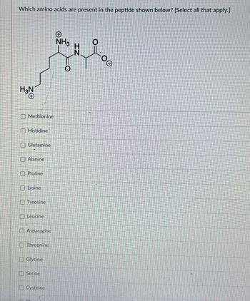 Answered Which Amino Acids Are Present In The Bartleby