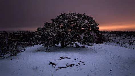 Winter Night 1920x1080 Wallpapers - Wallpaper Cave