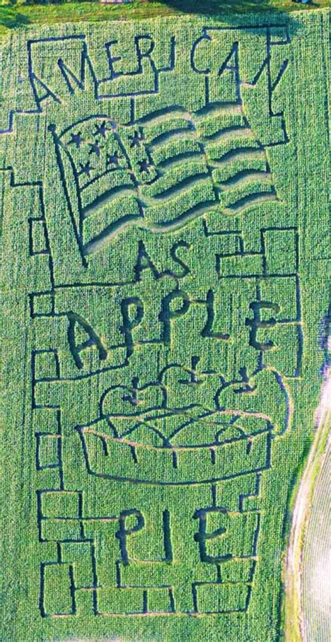 American Flag Patriotic Corn Maze The Corn Maze Guy