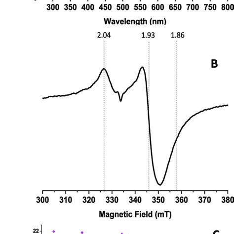 The YAE1 ORAOV1 Complex Binds A 4Fe 4S Cluster A UV Visible