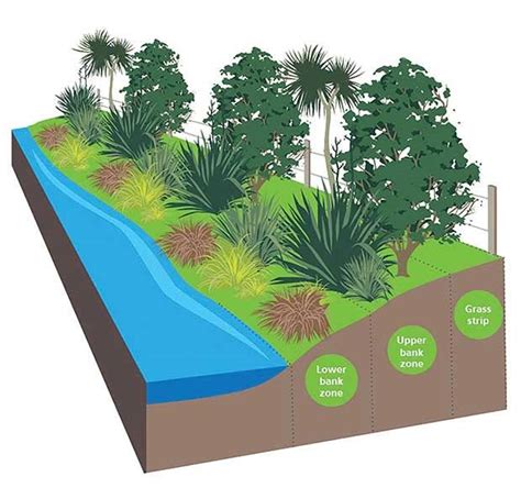 Select Three Ways Riparian Zones Are Damaged