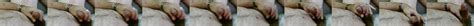 JohnGalt 060769 Gay Porn Creator Videos Free Amateur Nudes XHamster