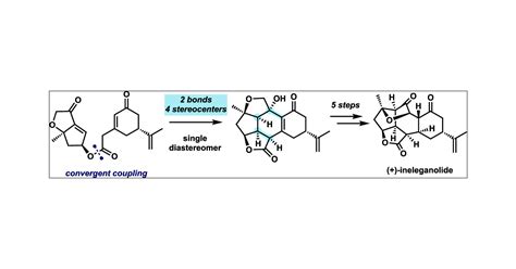 A Convergent Total Synthesis Of Ineleganolide Journal Of The